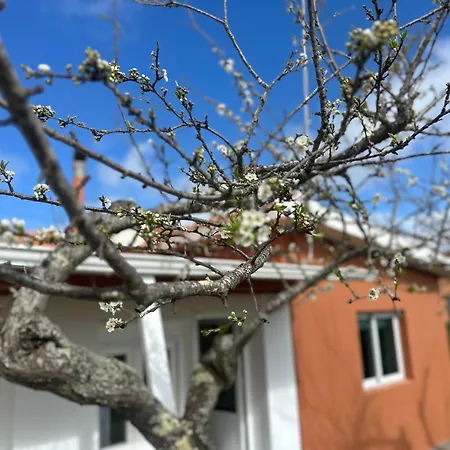 La Casita De Esperanza