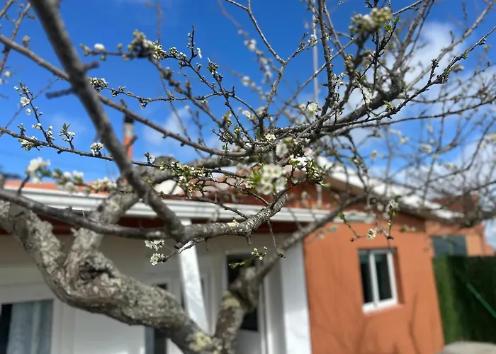La Casita De Esperanza